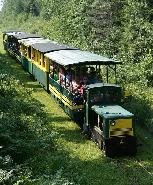 Toonerville Trolley - CURRENT VERSION OF TRAIN